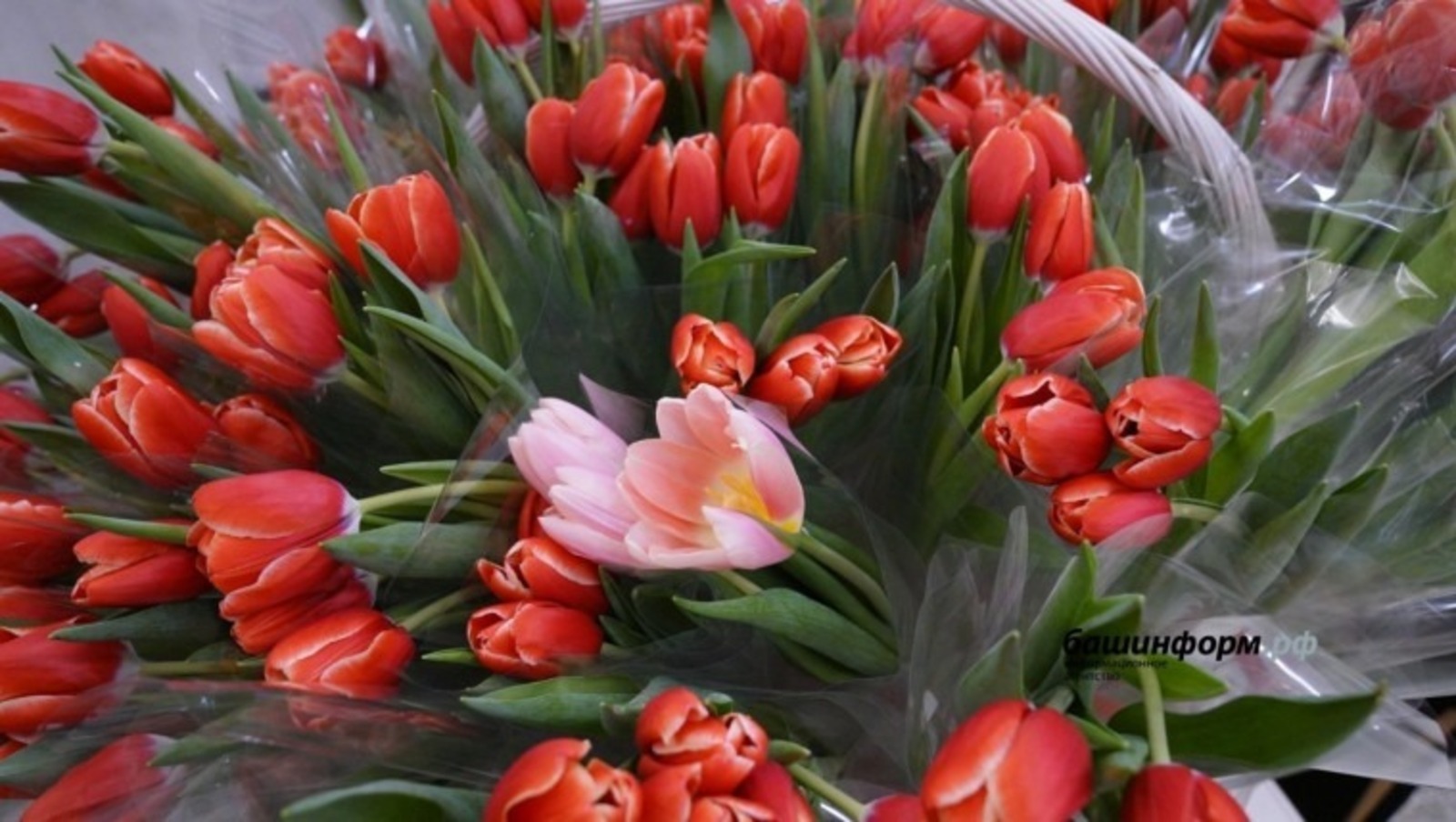 Пятница перед 8 марта не будет сокращенной