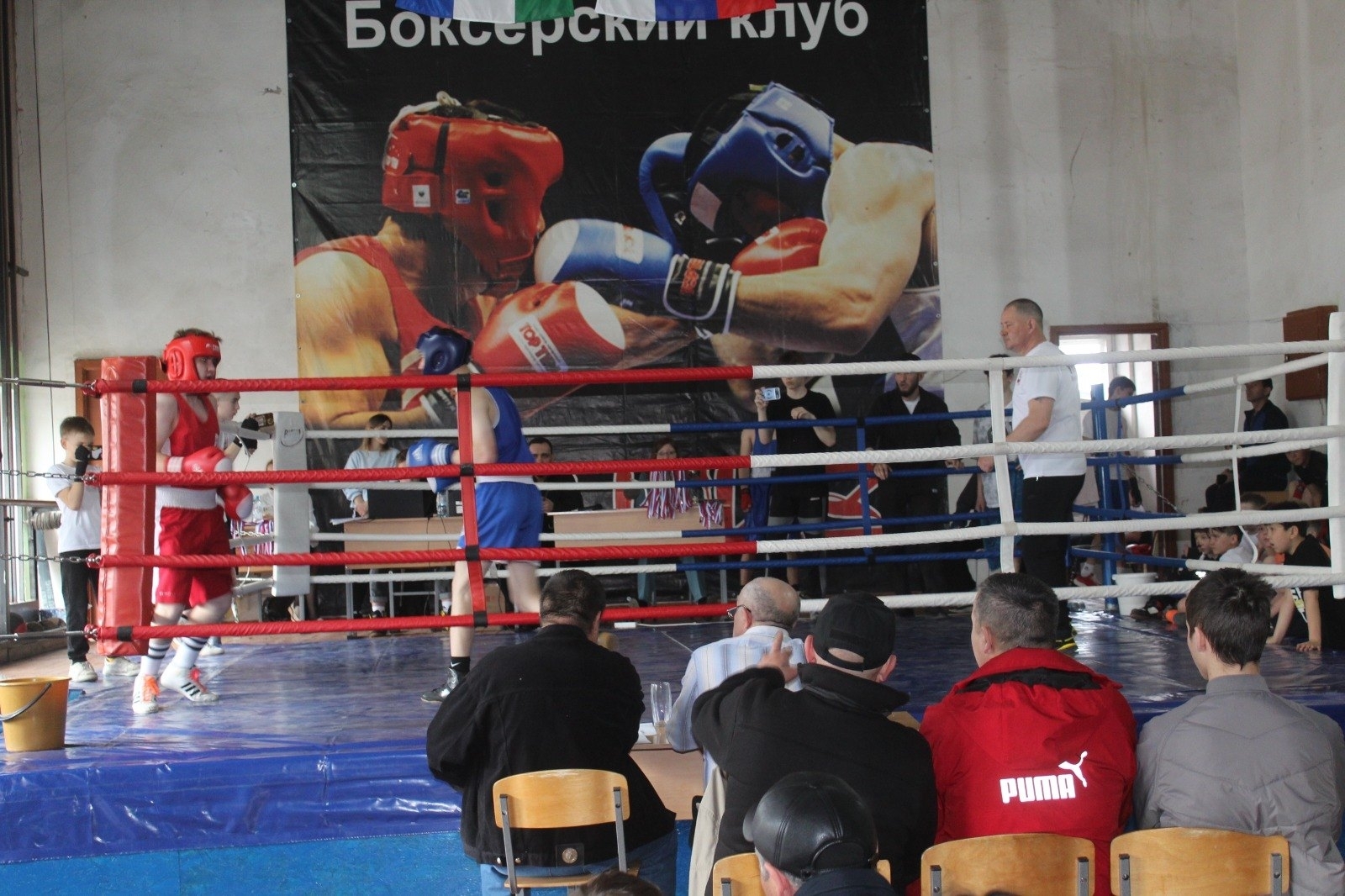 Бокс – көслөләр спорты