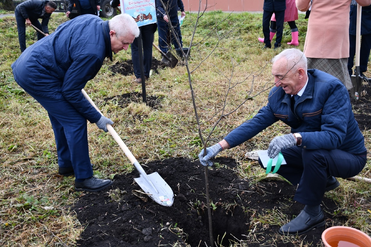 Сабыйҙар тауыштары тынмаһын