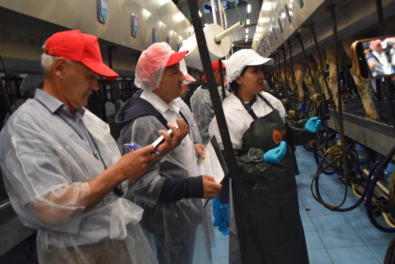 Таҫыллыҡ һәм етеҙлек бәйгеһендә