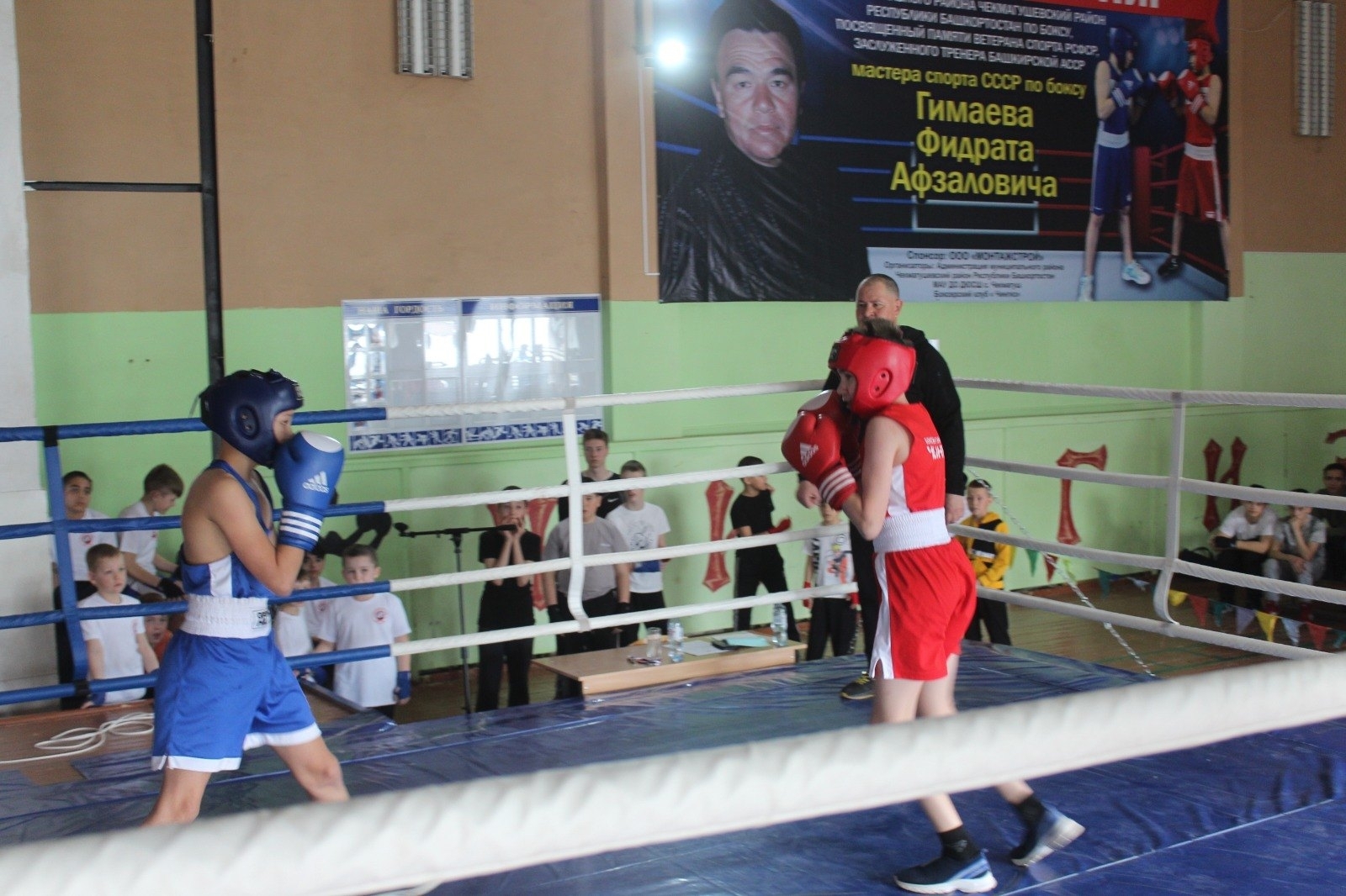 Бокс – көслөләр спорты