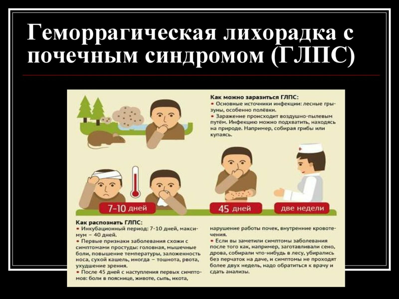 Профилактика распространения геморрагической лихорадки с почечным синдромом (ГЛПС) на территории Республики Башкортостан
