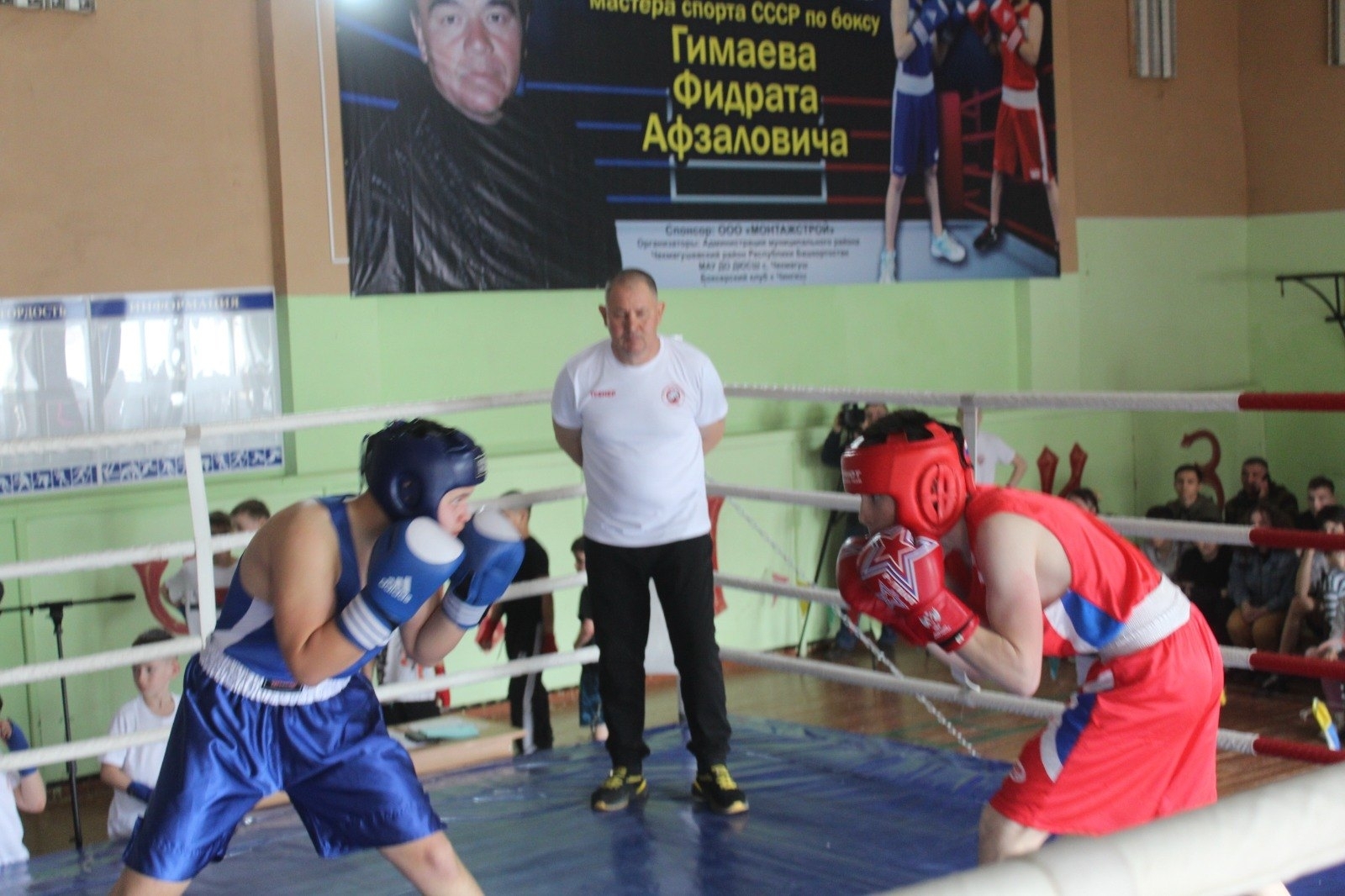 Бокс – көслөләр спорты