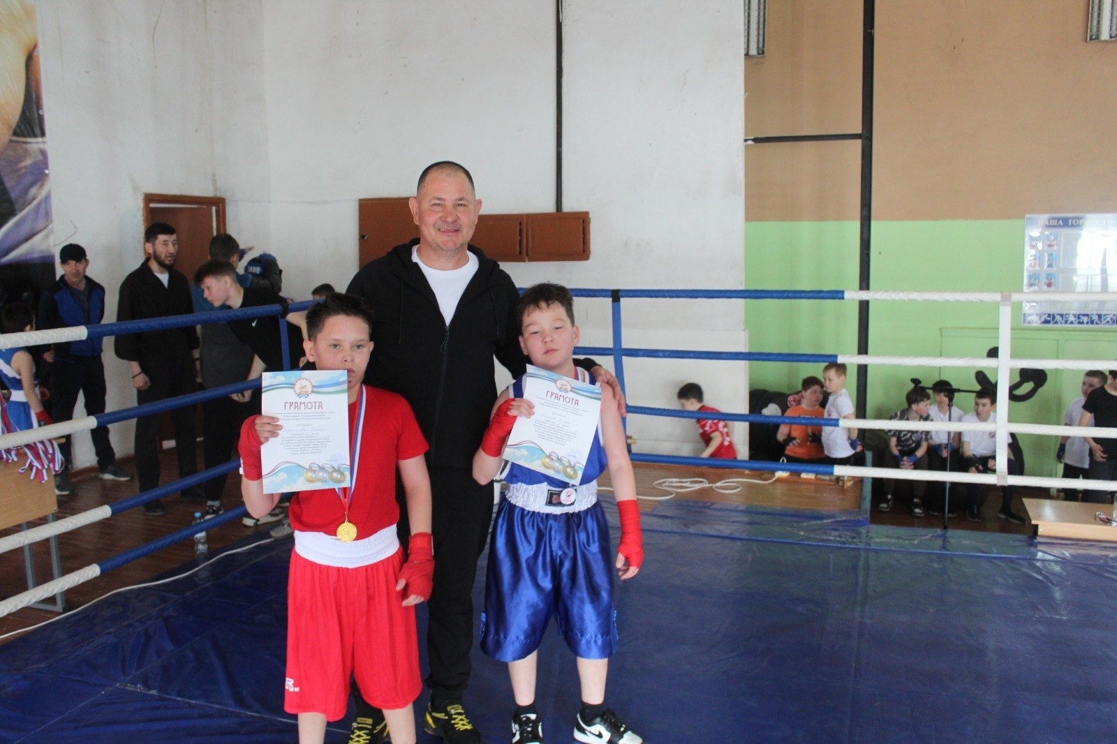 Бокс – көслөләр спорты